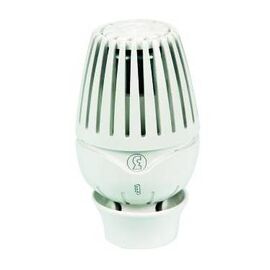 Giacomini R460 Термостатическая головка (Белая)