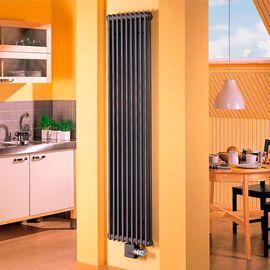 Трубчастий вертикальний радіатор Zehnder Charleston, Висота точна: 1800, Довжина точна: 644, Трубність: 2-х рядний